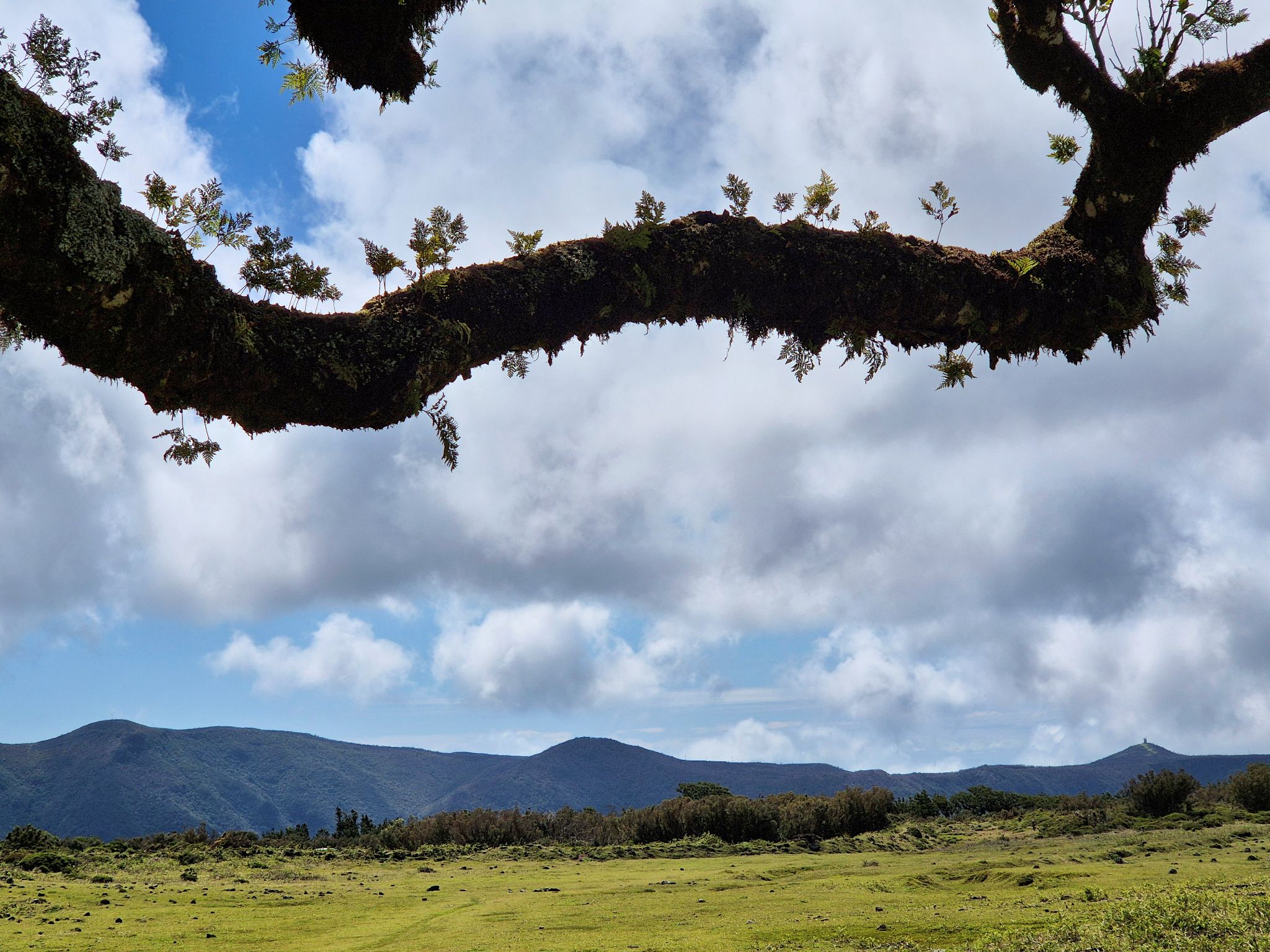20250513 162511 Porto Moniz   Posto Florestal Fanal